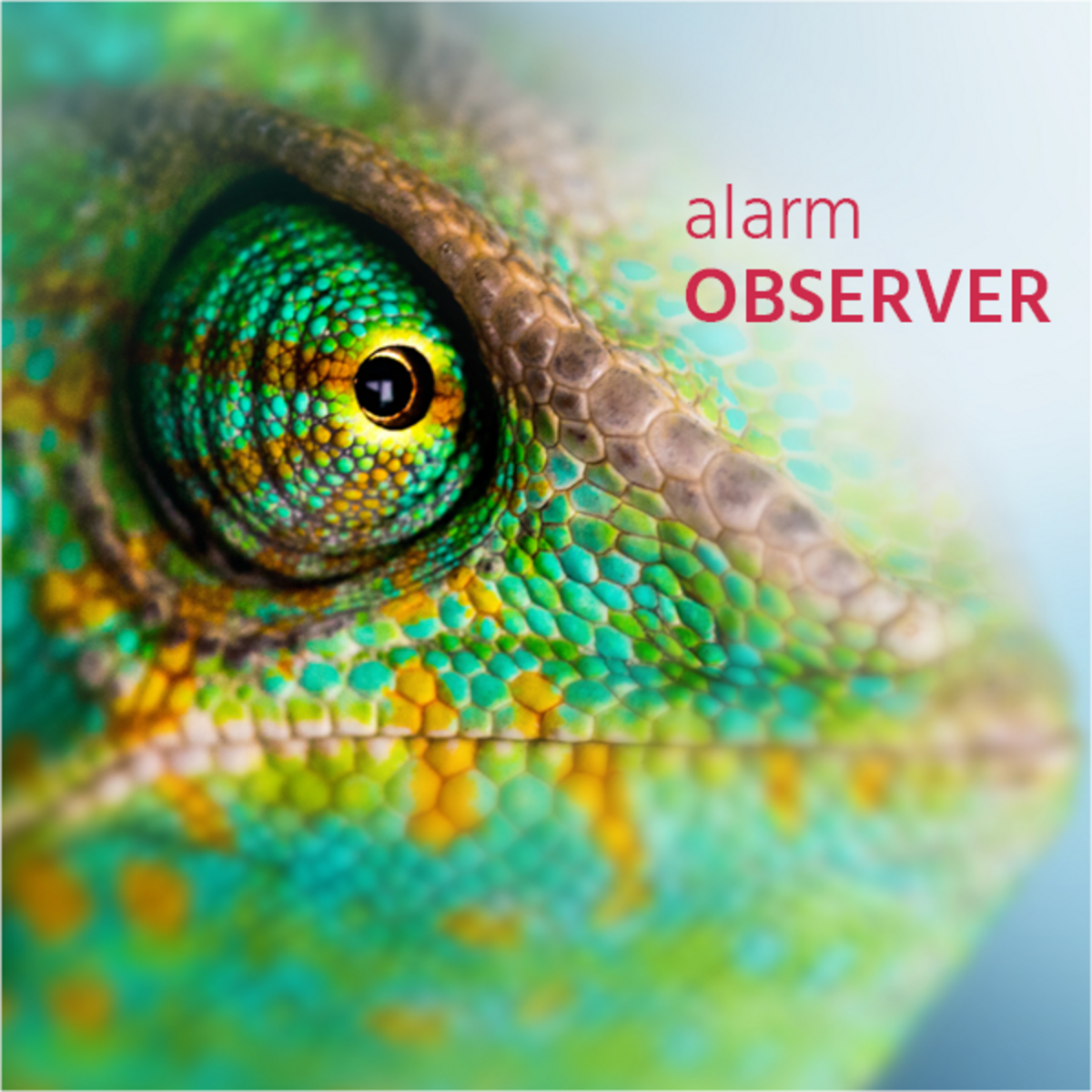 Bild alarmOBSERVER